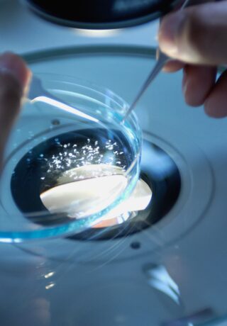 Haute technologie 2
