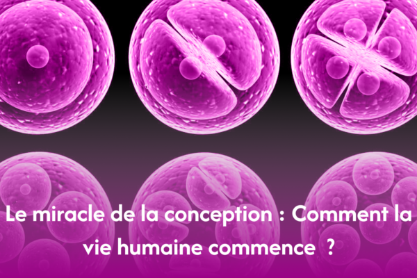 Le miracle de la conception : Comment la vie humaine commence?